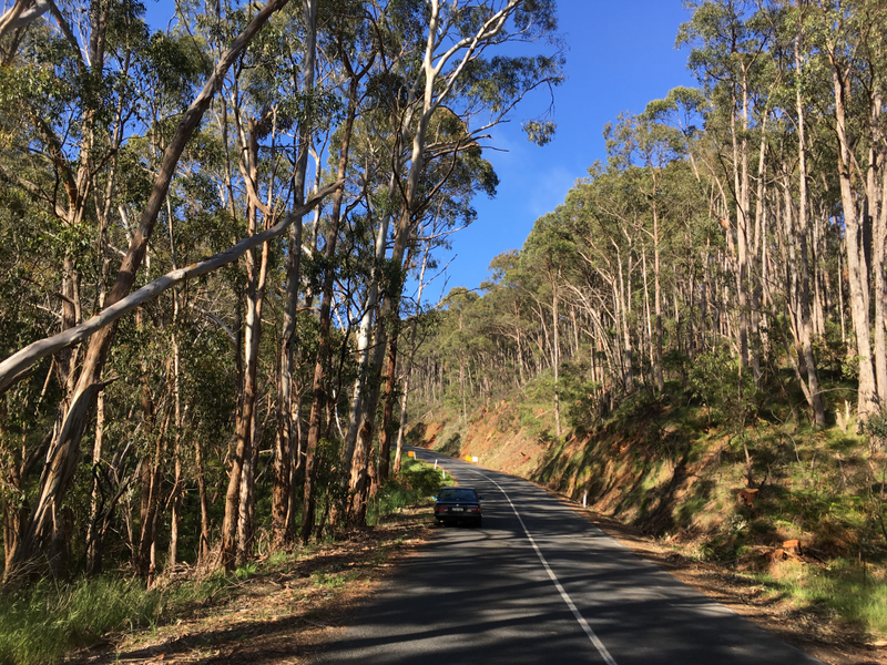Illustration for article titled BMW 635CSi. Adelaide Hills. Springtime. Goodtime.